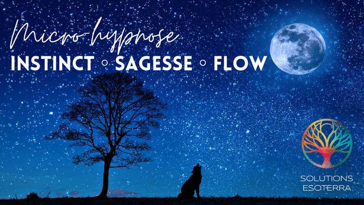 Instinct - Sagesse - Flow